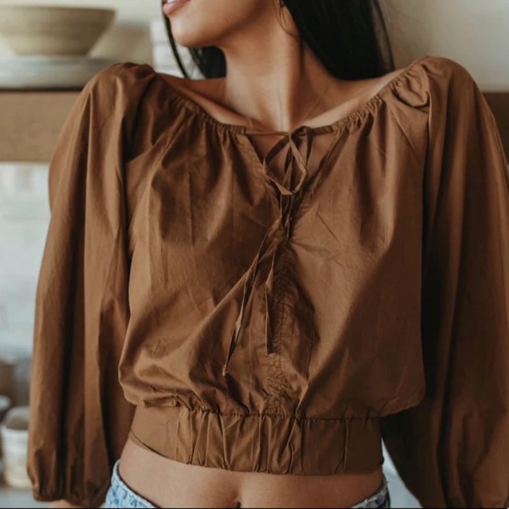 Puffed Sleeve Rust Blouse